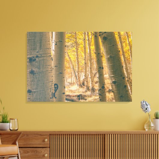 Autumn Aspens Canvas Afdruk (Insitu (Woonkamer))