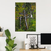 Autumn Aspens Poster (Thuiskantoor)
