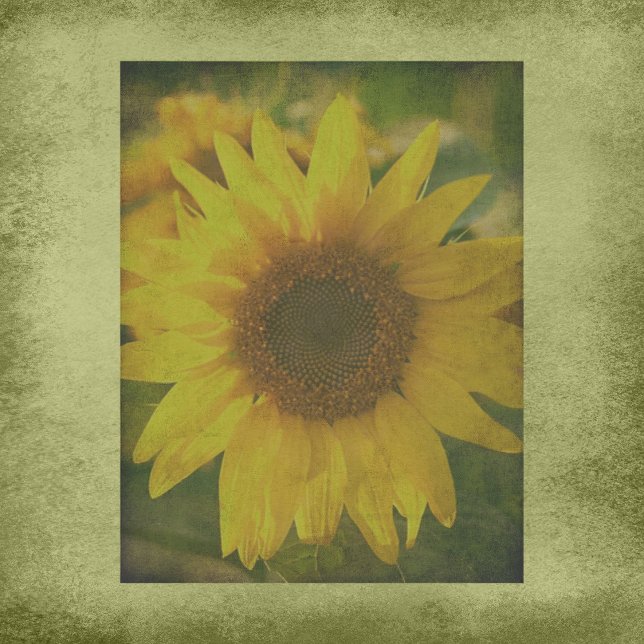 Autumn Aura Sunflower Scrapbook Paper (Creator heeft geüpload)