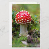 Autumn Beauty Briefpapier (Voorkant / Achterkant)