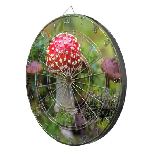 Autumn Beauty Dartbord (Voorkant Rechts)