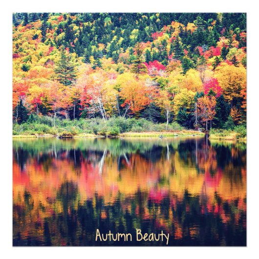 Autumn Beauty Foto Afdruk (Voorkant)