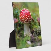 Autumn Beauty Fotoplaat (Zijkant)