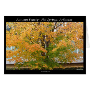 Autumn Beauty Hot Springs, Arkansas Apparel Gifts
