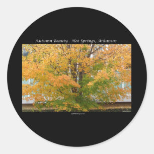 Autumn Beauty Hot Springs, Arkansas Apparel Gifts Ronde Sticker