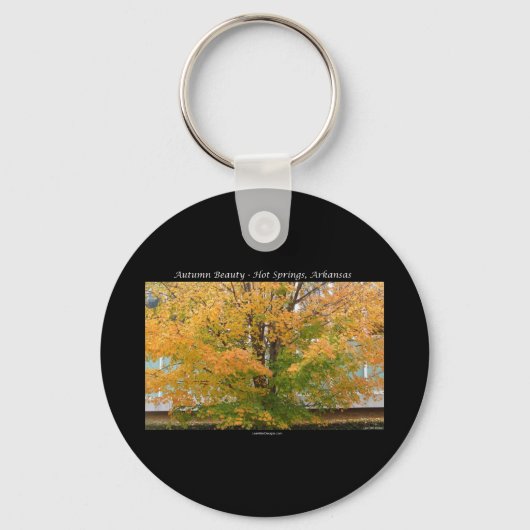 Autumn Beauty Hot Springs, Arkansas Apparel Gifts Sleutelhanger (Voorkant)