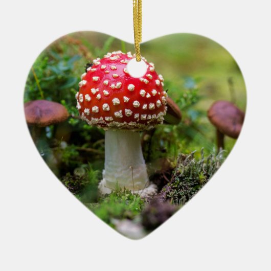 Autumn Beauty Keramisch Ornament (Voorkant)