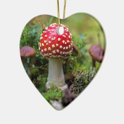 Autumn Beauty Keramisch Ornament (Links)