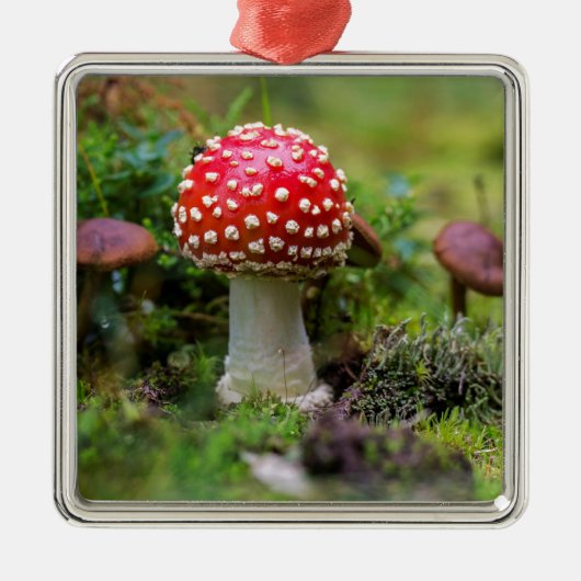 Autumn Beauty Metalen Ornament (Voorkant)