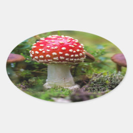 Autumn Beauty Ovale Sticker