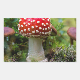 Autumn Beauty Rechthoekige Sticker