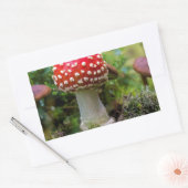 Autumn Beauty Rechthoekige Sticker (Envelop)