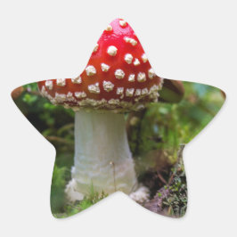 Autumn Beauty Ster Sticker