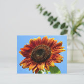Autumn Beauty Sunflower Briefkaart (Staand voorkant)