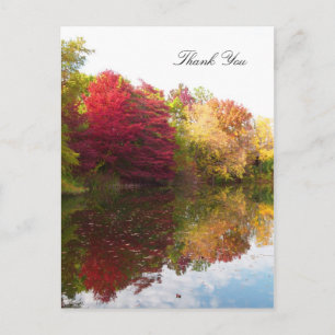Autumn Beauty Sympathy Dank u Briefkaart
