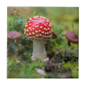 Autumn Beauty Tegeltje (Voorkant)