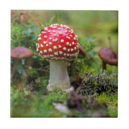 Autumn Beauty Tegeltje