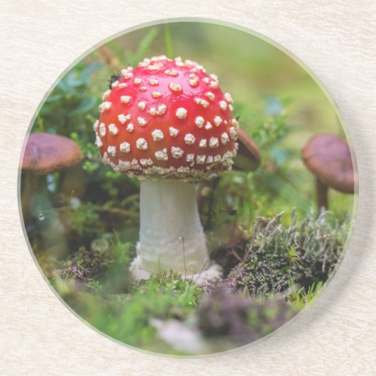 Autumn Beauty Zandsteen Onderzetter (Voorkant)