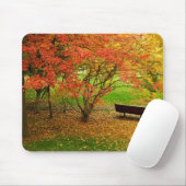 Autumn Bench Muismat (Met muis)