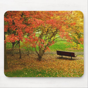 Autumn Bench Muismat