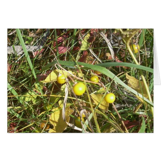 Autumn Berries (Voorkant Horizontaal)