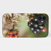 Autumn Berries Case-Mate iPhone Case (Achterkant (horizontaal))