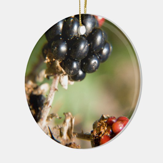 Autumn Berries Keramisch Ornament (Links)