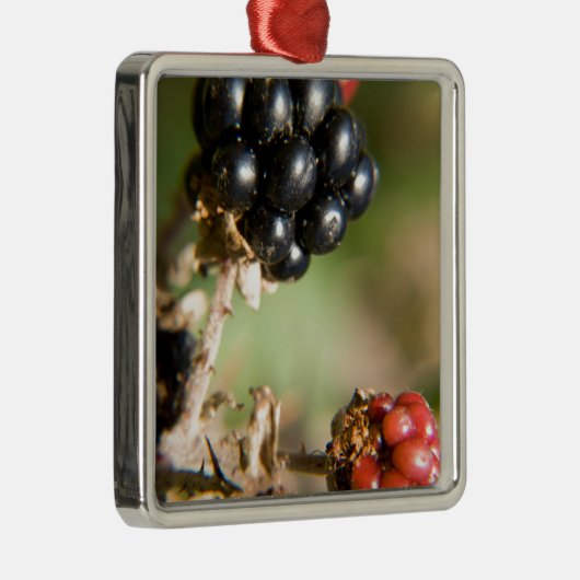Autumn Berries Metalen Ornament (Rechts)