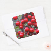 Autumn Berries Vierkante Sticker (Envelop)