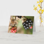 Autumn Berries Wenskaarten Kaart (Gele Bloem)