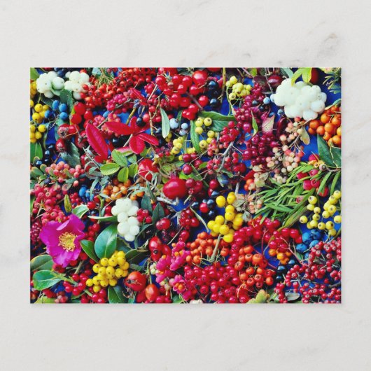 Autumn bessen bloemen briefkaart (Voorkant)