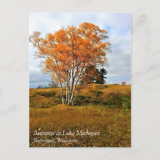 Autumn bij het Briefkaart van het Michiganmeer (Voorkant)