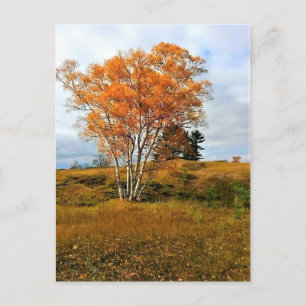 Autumn bij Lake Michigan Briefkaart
