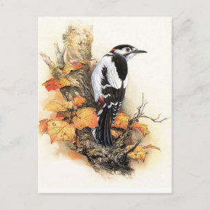 Autumn Bird Briefkaart