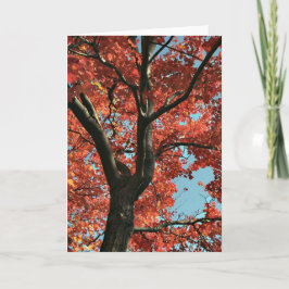 AUTUMN (blanco kaart) Kaart