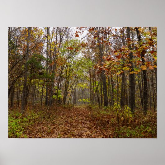 Autumn Bliss Poster (Voorkant)