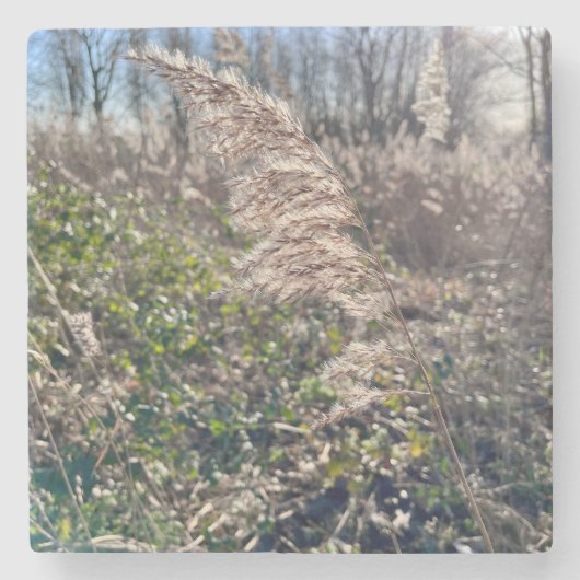 Autumn bliss.. stenen onderzetter (Voorkant)