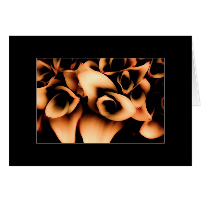 Autumn Bloomers (Voorkant Horizontaal)