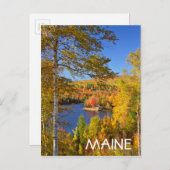 Autumn-boomlandschap, Maine Briefkaart (Voorkant / Achterkant)