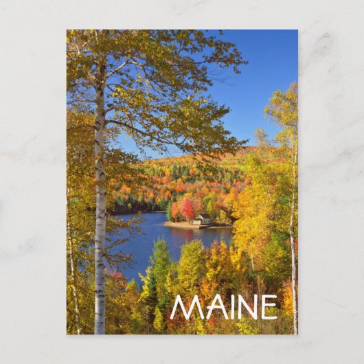 Autumn-boomlandschap, Maine Briefkaart (Voorkant)