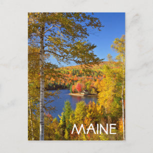 Autumn-boomlandschap, Maine Briefkaart