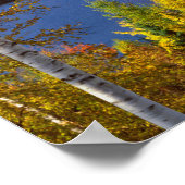 Autumn-boomlandschap, Maine Poster (Hoek)