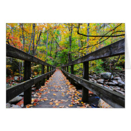 Autumn Bridge
