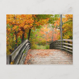 Autumn Bridge Briefkaart