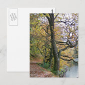 AUTUMN BRIEFKAART (Voorkant / Achterkant)