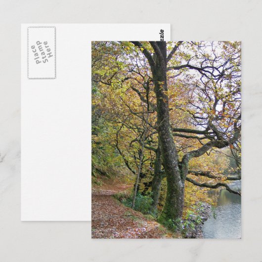 AUTUMN BRIEFKAART (Voorkant / Achterkant)