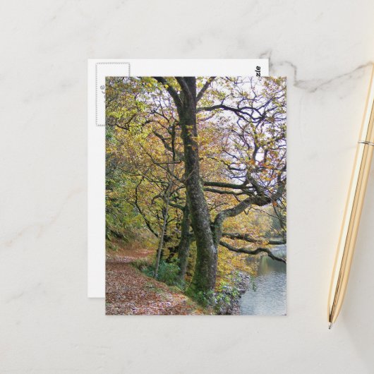 AUTUMN BRIEFKAART (Voorkant / Achterkant in situ)