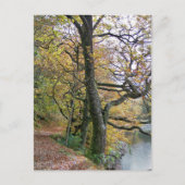 AUTUMN BRIEFKAART (Voorkant)