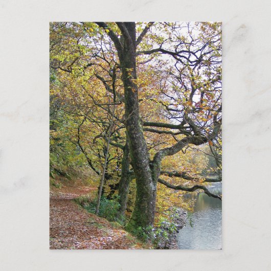 AUTUMN BRIEFKAART (Voorkant)