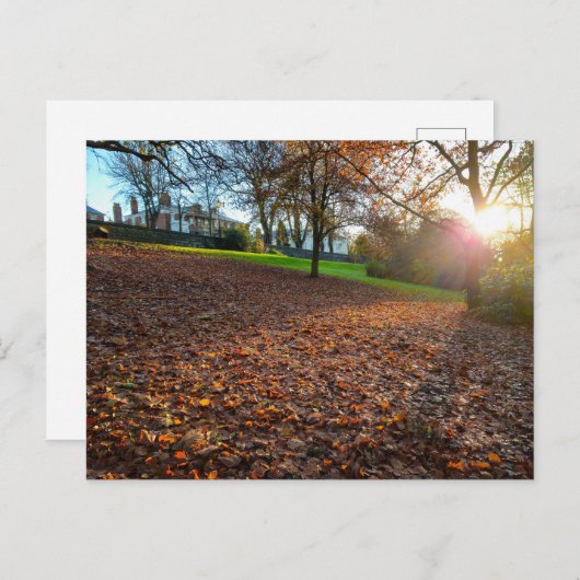 Autumn  briefkaart (Voorkant / Achterkant)